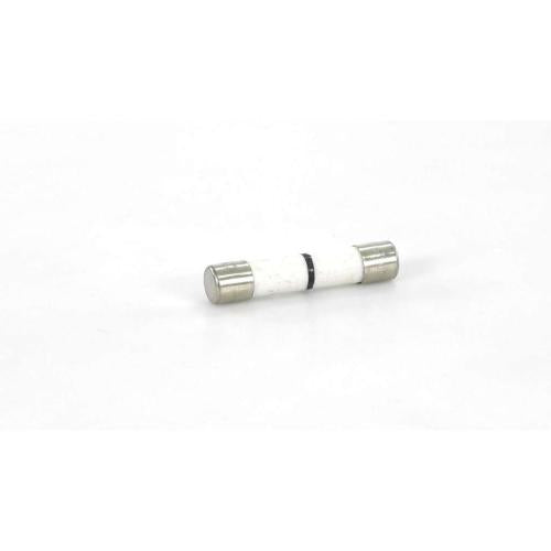 GE WB27X10928 FUSE