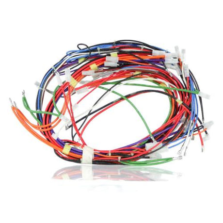 This is a genuine Bertazzoni 6017135 WIRING