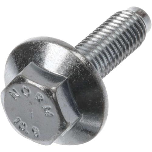 Bosch 00171270 SCREW