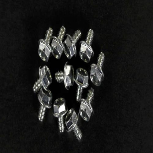 GE WB1X500D SCREW-PKG 12