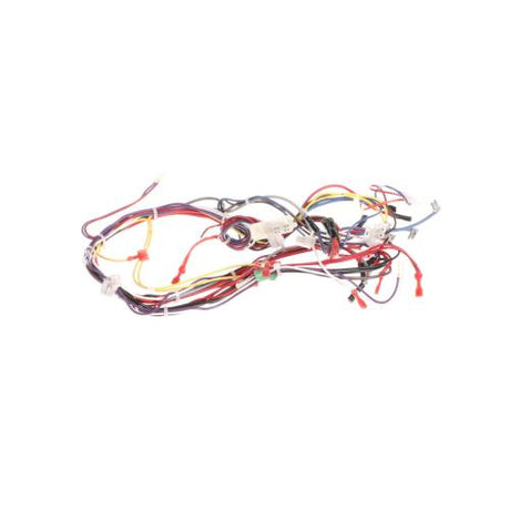 Amana Commerical 20216601 HARNESS-OVEN