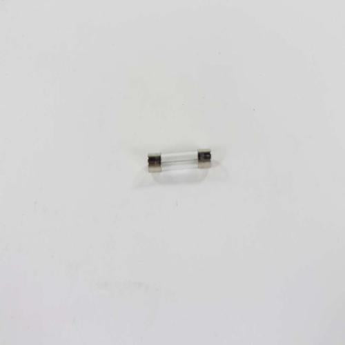 Fisher / Paykel 479598 FUSE