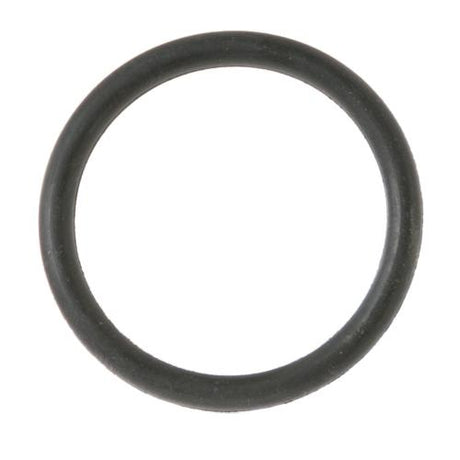 GE WD01X10240 O RING I