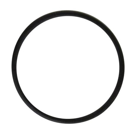 Karcher 6.362-376.0 O-RING SEAL 24,0 X 1,5