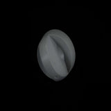 Whirlpool W10465177 KNOB-FREEZER CONTROL SHK