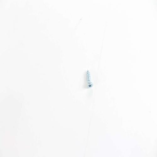 GE WE2M302 SCREW