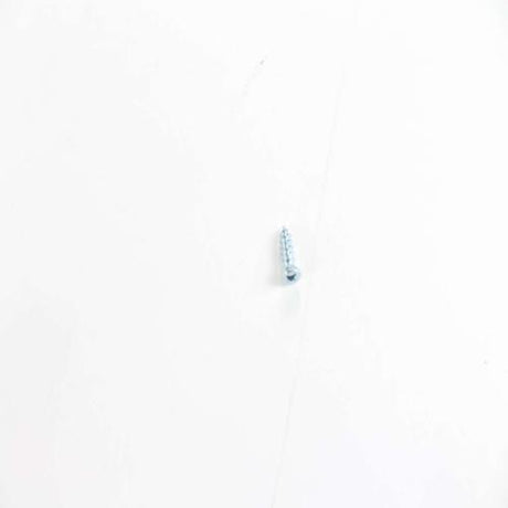 GE WE2M302 SCREW