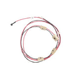 Electrolux 316219004 WIRING HARNESS,W/IGNTR SWITCH