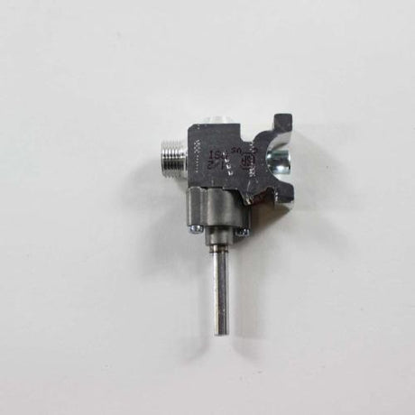GE WB21X22078 VALVE KIT