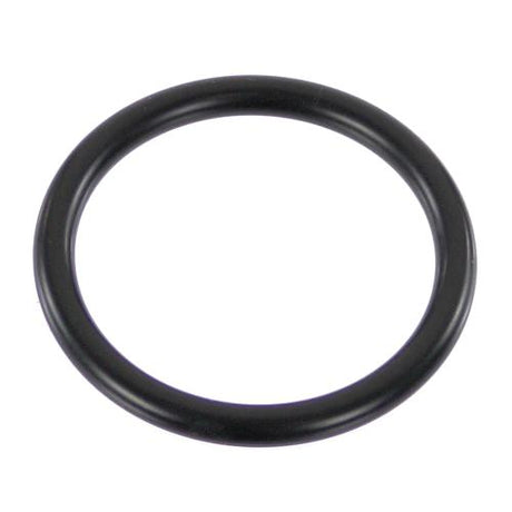 Delonghi 5313238581 GASKET