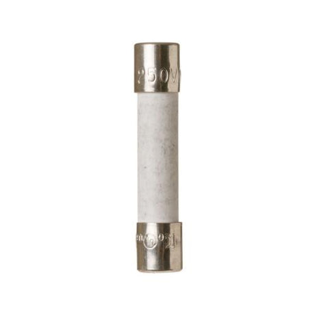GE WB27X10454 FUSE 250V 15A