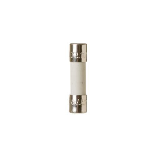 GE WP23X10032 FUSE