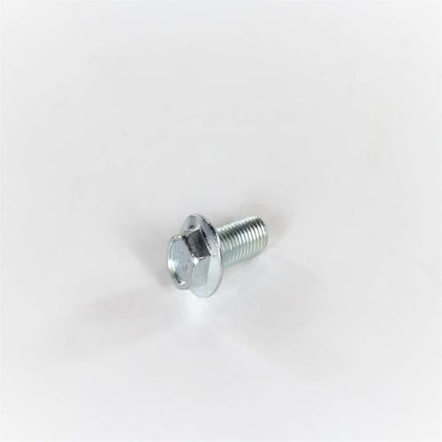Electrolux 131303700 SCREW,PULLEY MTG.,M10 X 0.92
