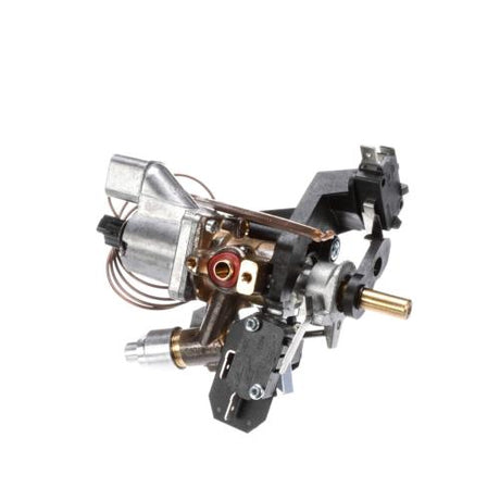 Bertazzoni 503187 THERMOSTAT