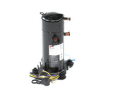 International Comfor APA024KAB Compressor, Scroll